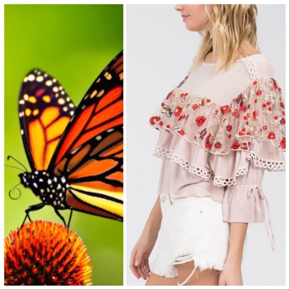 Mariposa Butterfly Garden Top - Picture 9 of 11